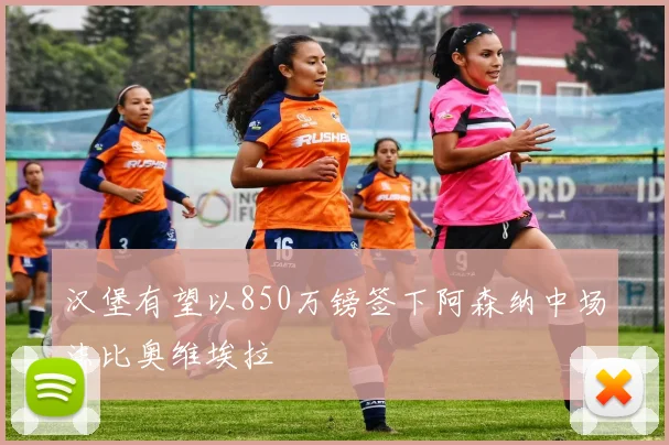 汉堡有望以850万镑签下阿森纳中场法比奥维埃拉