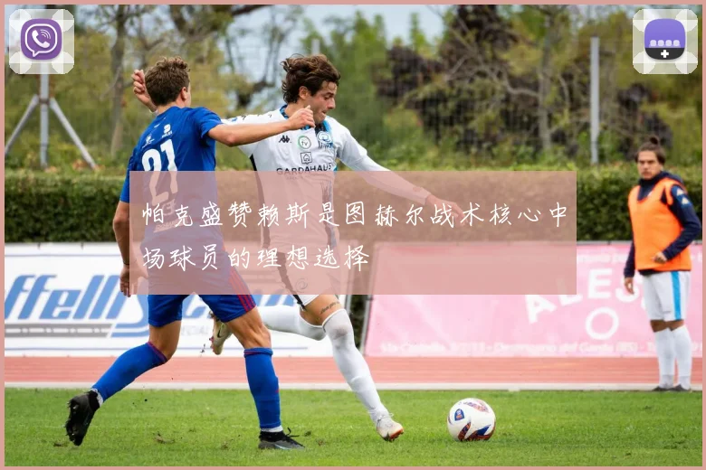 帕克盛赞赖斯是图赫尔战术核心中场球员的理想选择