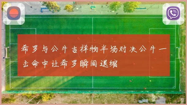 希罗与公牛吉祥物半场对决公牛一击命中让希罗瞬间退缩